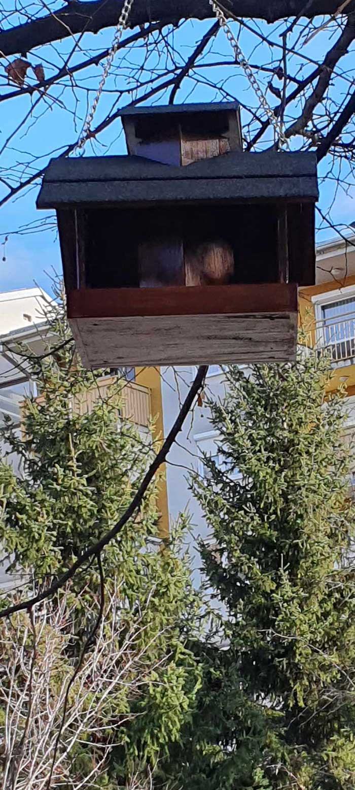 KO RK Šalek - hišica