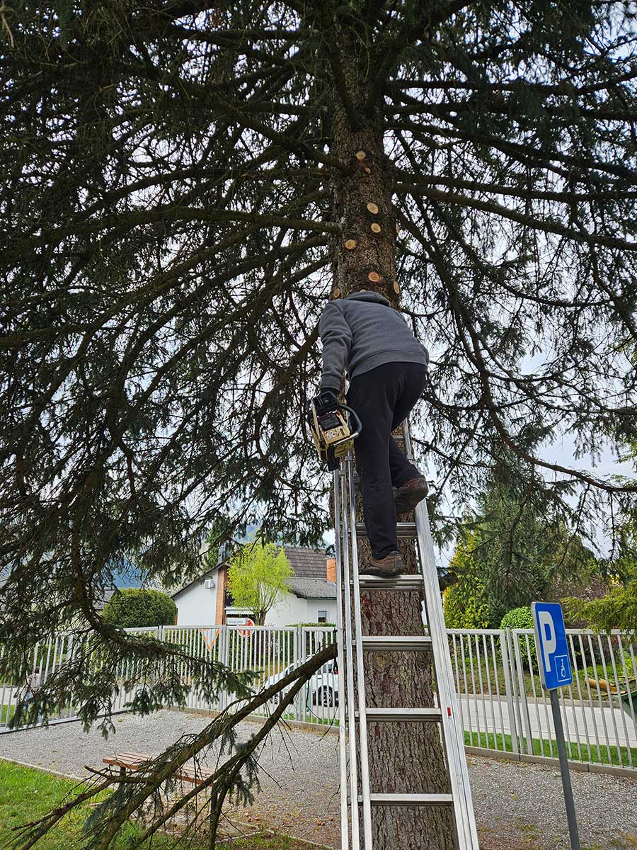Očiščevalna akcija v KS Stara vas, 2026